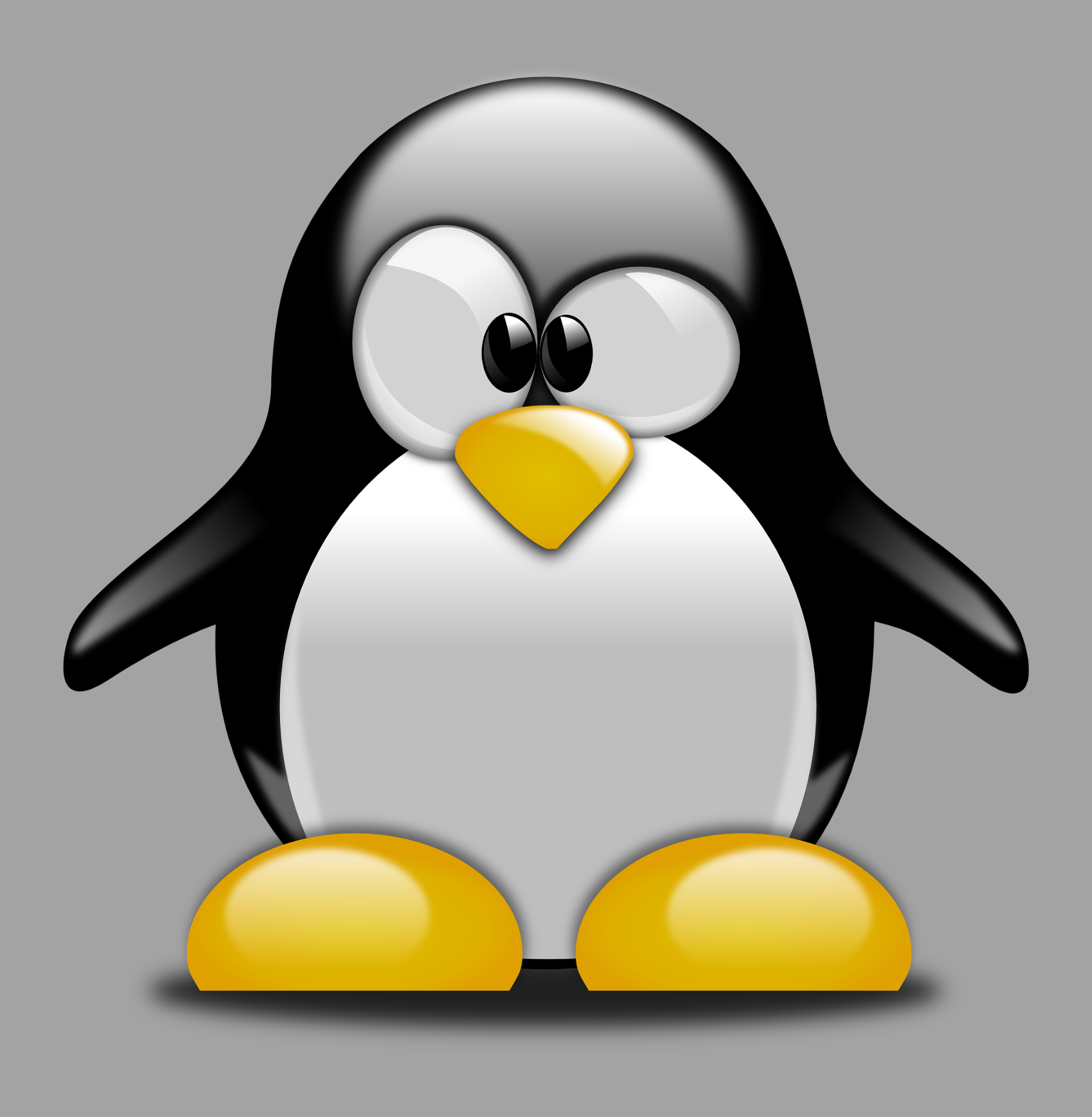 penguin cartoon image taken from https://pixabay.com/vectors/penguin-confused-cartoon-bird-158551/